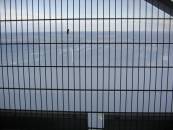 Klicke fr Voll Darstellung